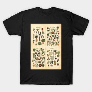 American Midwest Seasonal Fruit and Vegetable chart T-Shirt